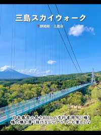 【静岡】絶対行くべき静岡のおすすめ観光地7選