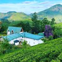 Most Beautiful Resort in Munnar 