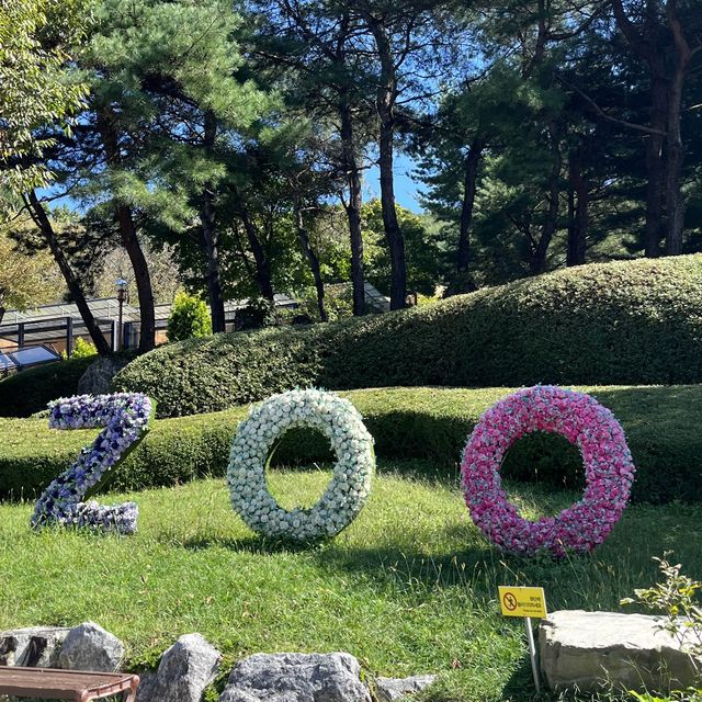 아이랑 방문하면 너무 좋은 청주 동물원 ✨