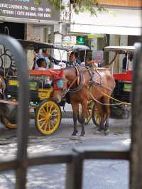 Jogja’s Famous Street!