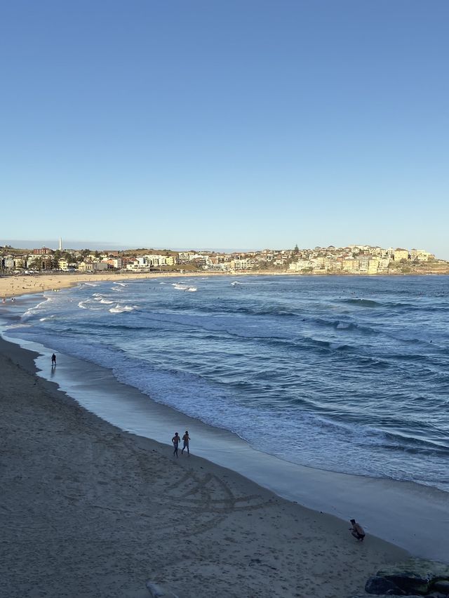 探索澳洲的夢幻海灘——Bondi Beach
