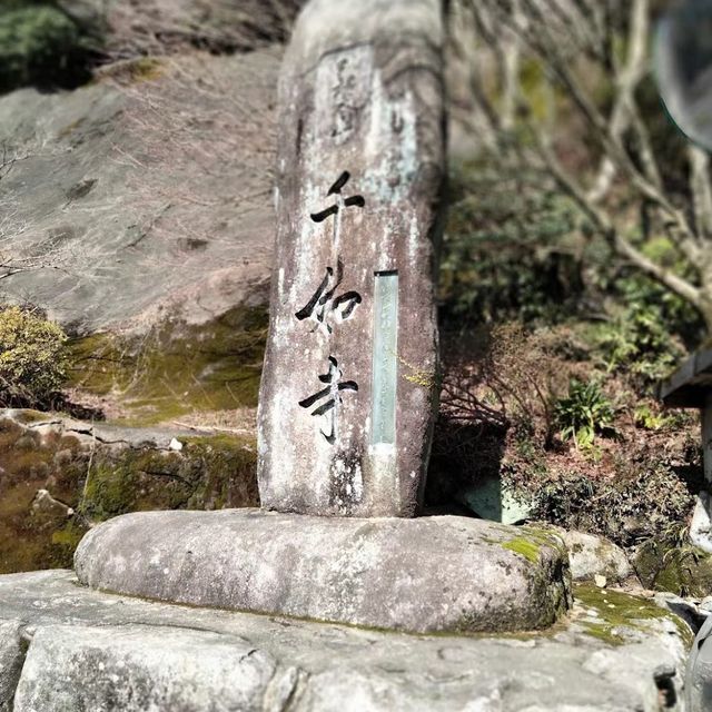 ⛩️🌸 雷山千如寺：靜謐與美麗的禪修之旅 🍃🏯✨