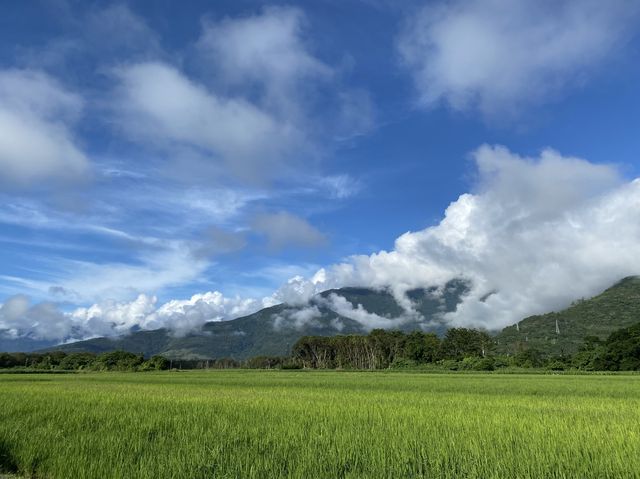 星巴克花蓮理想門市