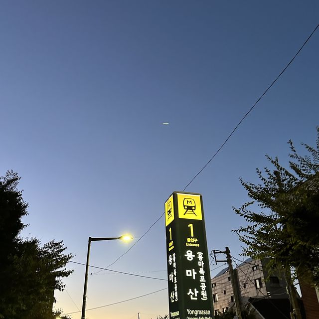 《韓国/ソウル》 おひとり様大歓迎！居酒屋🏮🌸