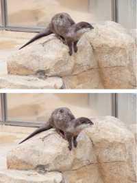 阪急電車の駅からすぐ！王子動物園