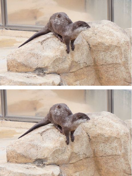 阪急電車の駅からすぐ！王子動物園