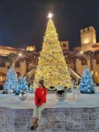 부산 화이트트리는 여기가 원탑🎄