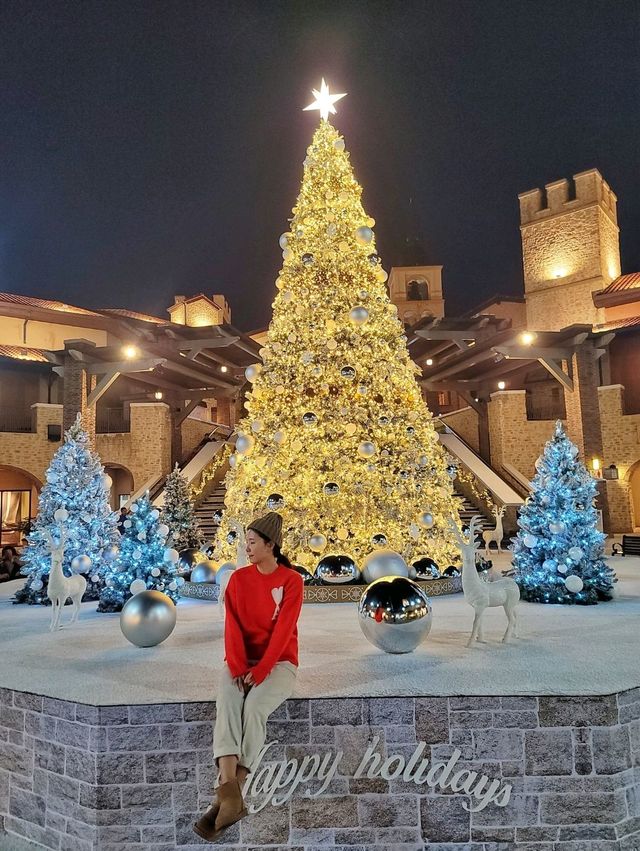 부산 화이트트리는 여기가 원탑🎄