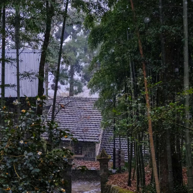 關山風景區 🏞️🌊自然寶藏🌅🌴