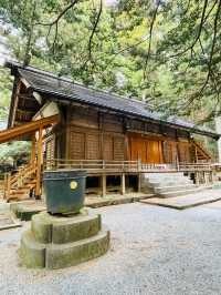 【群馬県/三夜沢赤城神社】2023年行ってよかった！群馬県の神社⑤