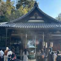 金閣寺：歴史と美の調和 🏯🍁