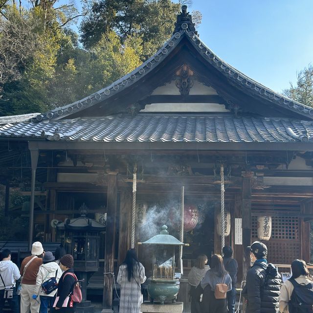 金閣寺：歴史と美の調和 🏯🍁