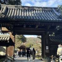 金閣寺：歴史と美の調和 🏯🍁