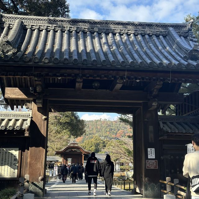 金閣寺：歴史と美の調和 🏯🍁