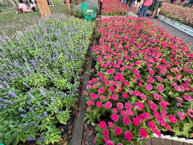 🌼เทศกาลดอกไม้ สวนหลวงร.9 กรุงเทพ🌺