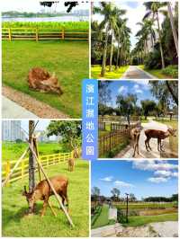 來這裏，假裝在奈良！