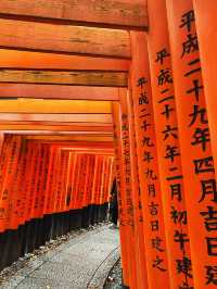 ⛩️⛩️Headquarter of 30 thousands shrines ⛩️⛩️