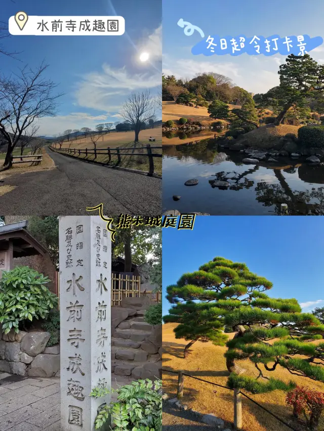 熊本城水前寺成趣園😎😀和風庭園‼️冬日超令