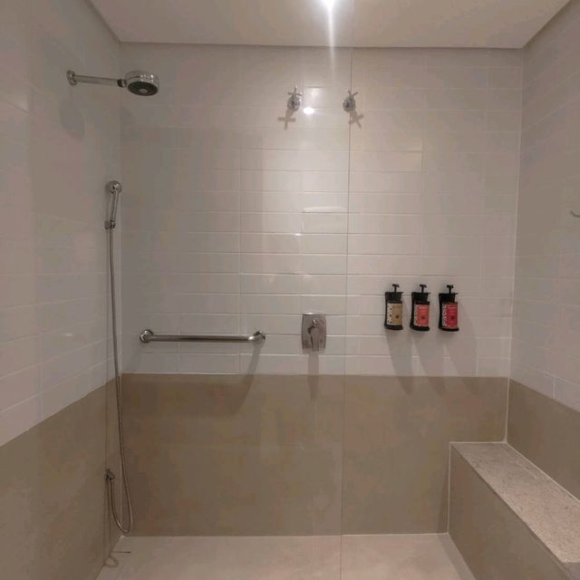 巴西馬瑙斯亞馬遜別墅特色酒店Amazonia villa hotel
