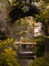 42 Garden Cafe คาเฟ่ลับเชียงใหม่ย่านหนองหอย