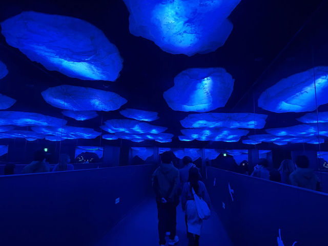 Kaiyukan พิพิธภัณฑ์สัตว์น้ำกลางเมืองโอซาก้า 🐋