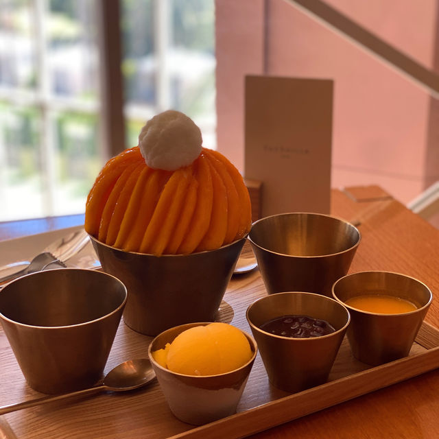 신라호텔 호캉스 즐기러 가볼까요?🫢💛