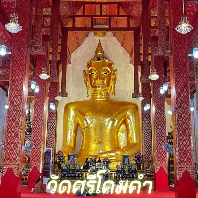 วัดศรีโคมคำ จ.พะเยา