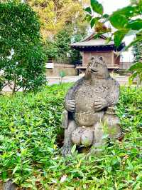 【東京都/中野氷川神社】中野区の「おひかわさま」