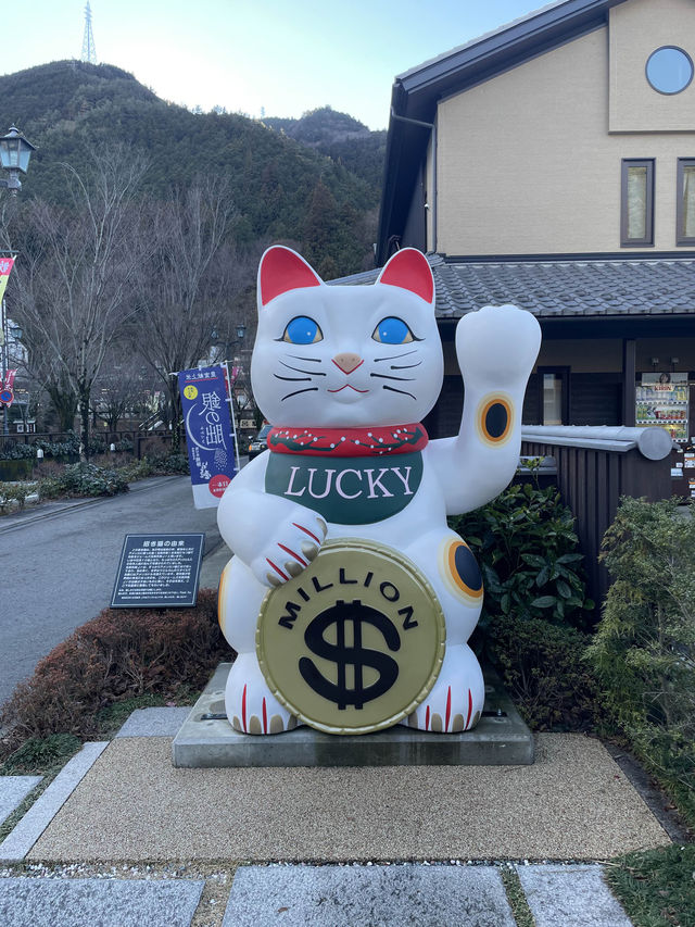 下呂溫泉街♨️｜青蛙布丁、青蛙神社，尋找青蛙之旅🐸