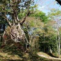 Sambor Prei Kuk Cambodia 