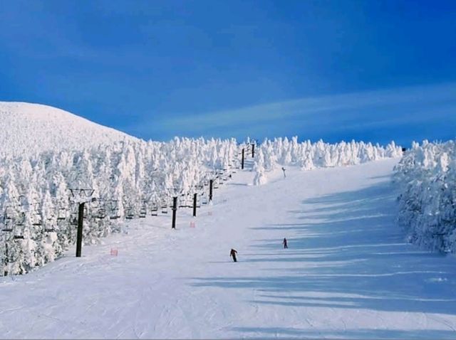 Zao Onsen Ski Resort