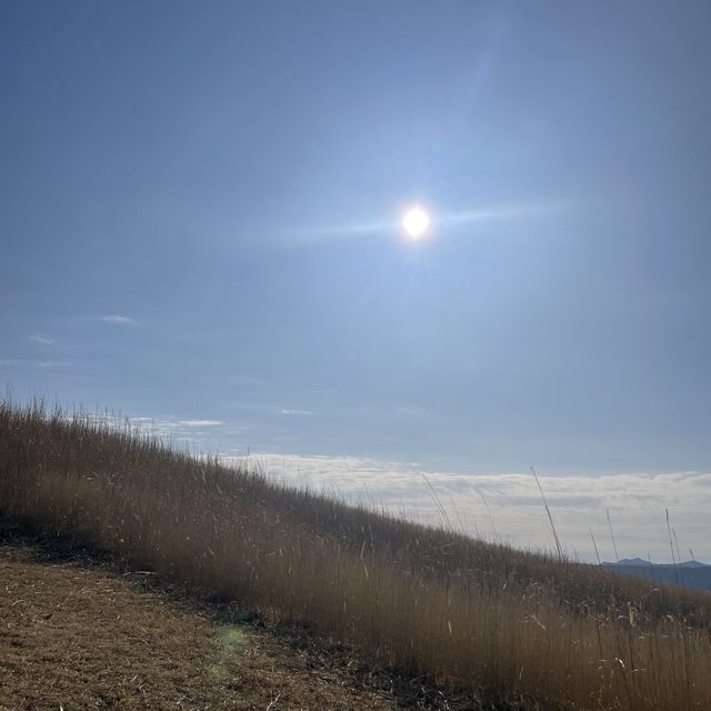 熊本必去！大觀峰滑翔傘欣賞阿蘇火山🌋