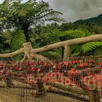 A Refreshing Place in Cebu!