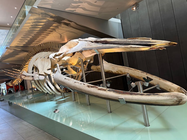 Melbourne Museum