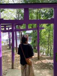 【栃木】足利織姫神社で七つの良い縁をゲットしよう
