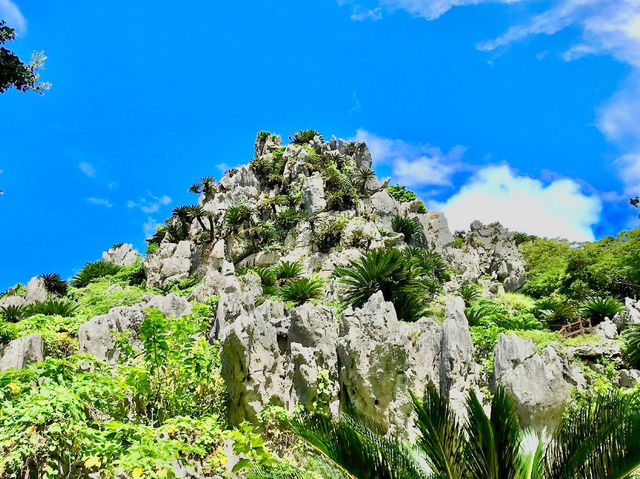 Yanbaru National Park