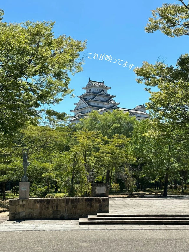 【姫路】姫路城が映る美建築な博物館🏯