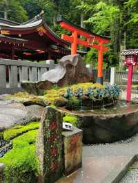 【箱根】絶対に行きたい!!辰年にピッタリな最強神社!!