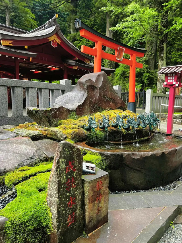 【箱根】絶対に行きたい!!辰年にピッタリな最強神社!!