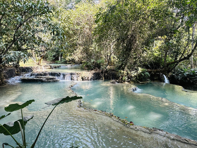 寮國🇱🇦龍坡邦 關西瀑布Kuang Si Waterfall