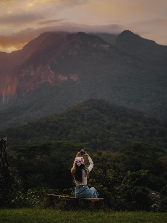 ป่าโป่งดอย โฮมสเตย์เชียงดาว 🏕️⛰️