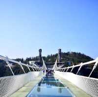 Full day at glass bridge in Zhangjiajie Grand Canyon 