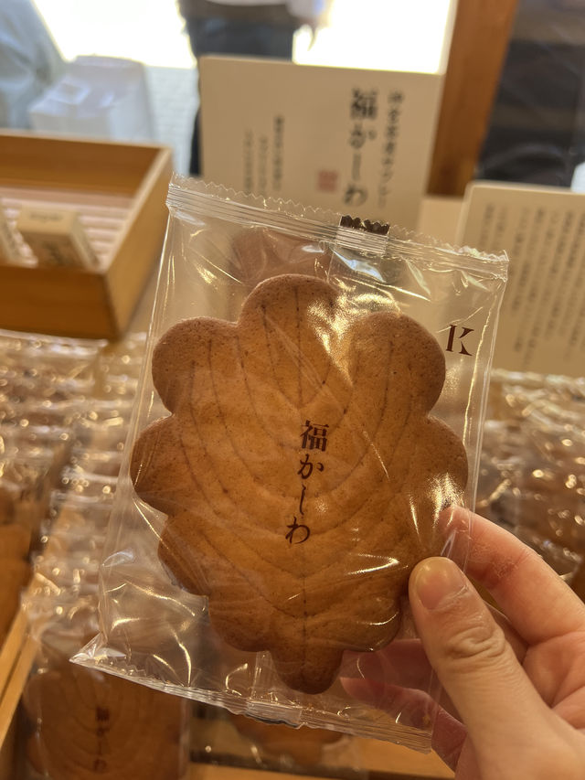 走訪了解北海道文化🙉北海道神宮