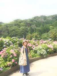 形原温泉　あじさいの里