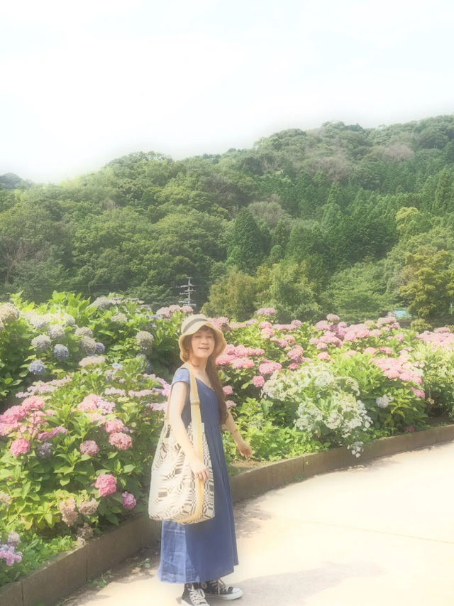 形原温泉　あじさいの里