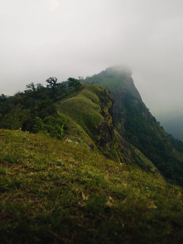 หัววาฬ มุมลับๆ! ที่ดอยม่อนจอง ⛰️