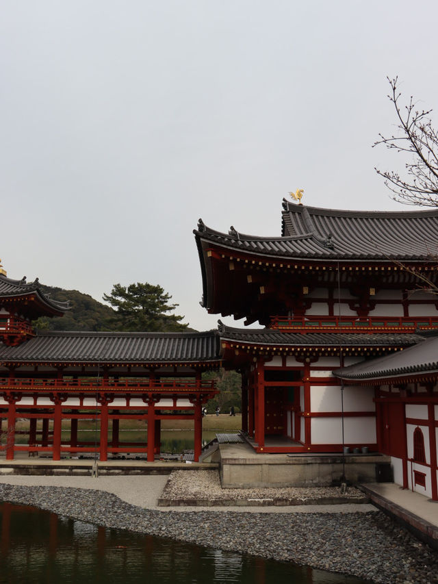 교토 근교 우지마을 볼거리 추천 