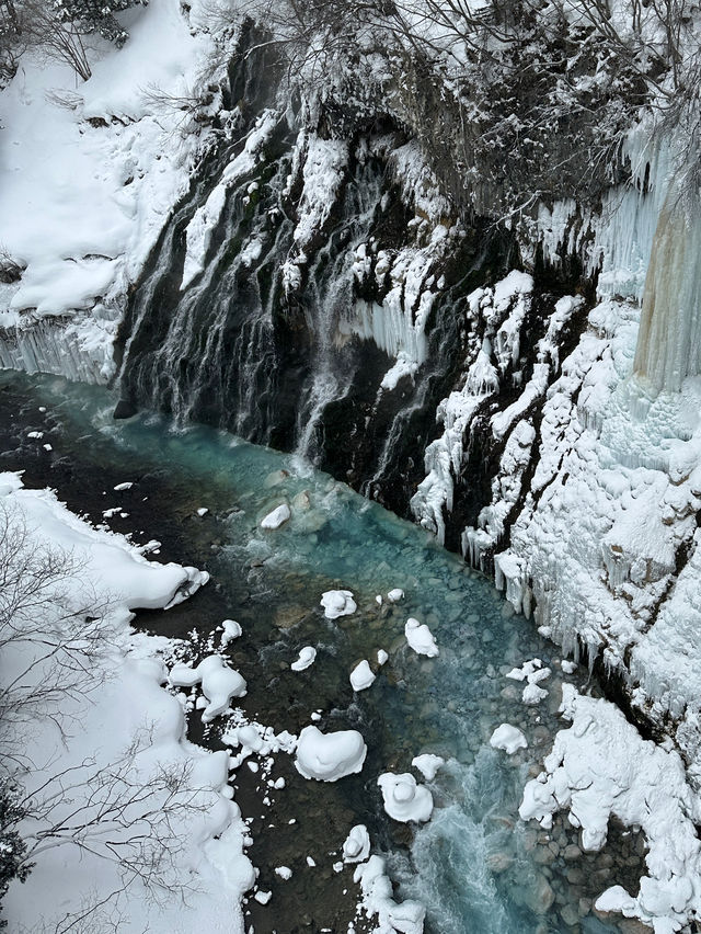 ❄️ 겨울왕국 삿뽀로 모녀여행 A to Z