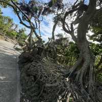 【臺北景點】基隆鼻頭角地質公園：壯麗海岸奇觀，必打卡景點