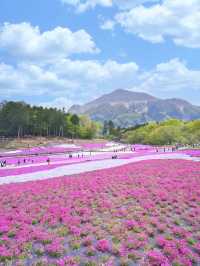 【埼玉】GWのスタートを特急列車に乗って行こう‼️秩父にあるピンクの絶景✨※ほか観光情報付き